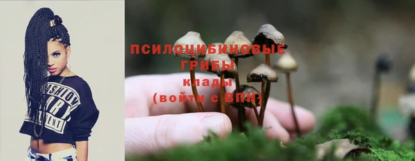 амф Каменск-Шахтинский