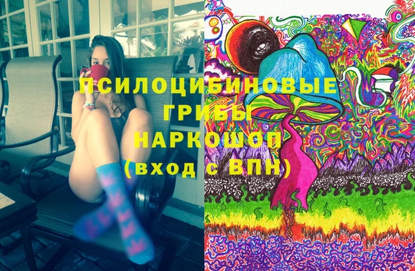 гидра Алзамай
